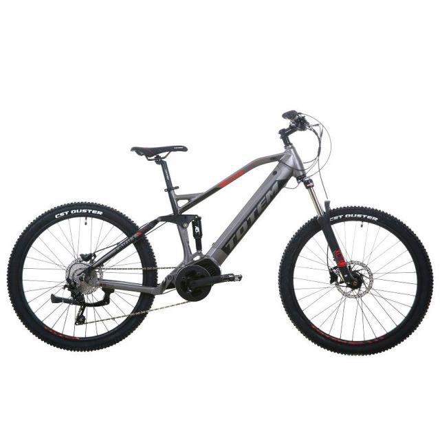 TOTEM Fully E-Bike Carry grau 18"/45,7cm